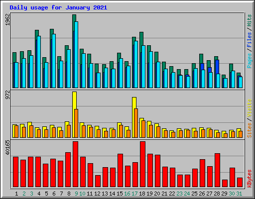 Daily usage for January 2021