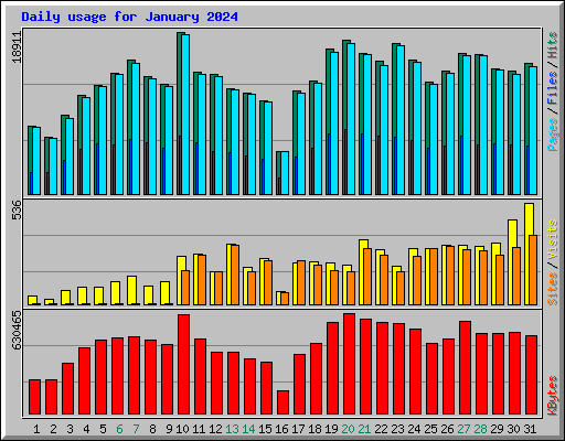 Daily usage for January 2024