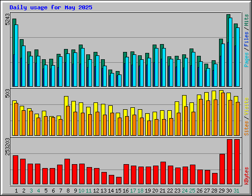 Daily usage for May 2025