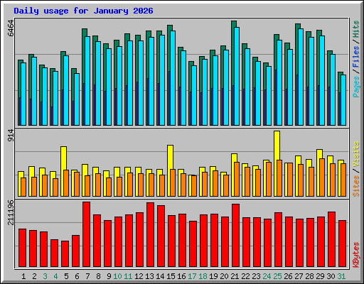 Daily usage for January 2026