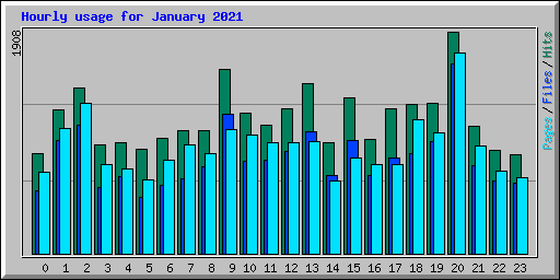 Hourly usage for January 2021