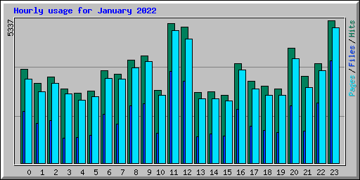 Hourly usage for January 2022