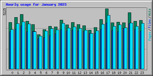 Hourly usage for January 2023