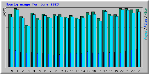 Hourly usage for June 2023
