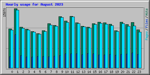 Hourly usage for August 2023