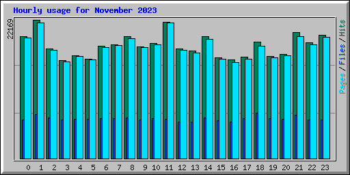 Hourly usage for November 2023