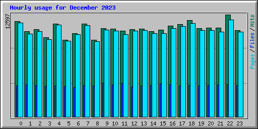 Hourly usage for December 2023