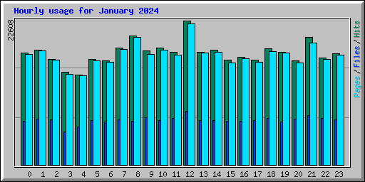 Hourly usage for January 2024