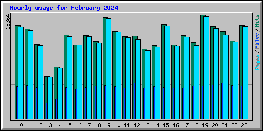 Hourly usage for February 2024