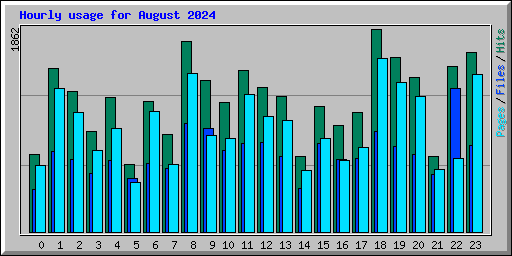 Hourly usage for August 2024