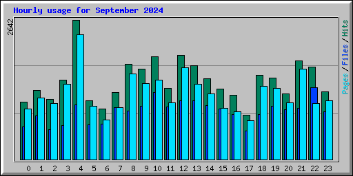 Hourly usage for September 2024