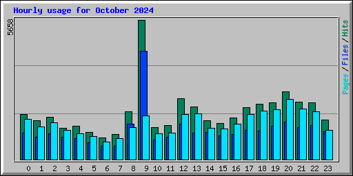 Hourly usage for October 2024