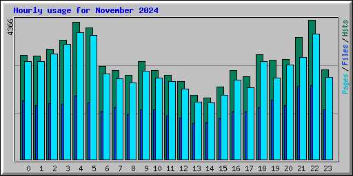 Hourly usage for November 2024