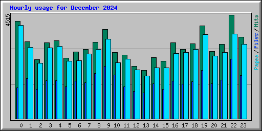 Hourly usage for December 2024