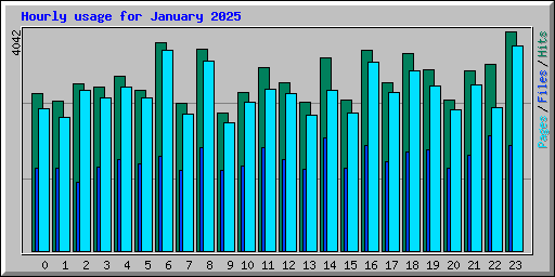 Hourly usage for January 2025