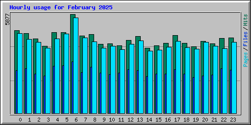 Hourly usage for February 2025