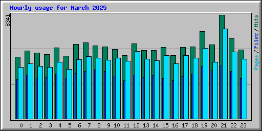 Hourly usage for March 2025