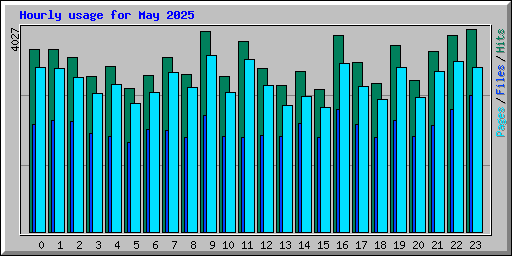 Hourly usage for May 2025