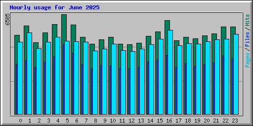 Hourly usage for June 2025