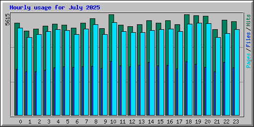 Hourly usage for July 2025