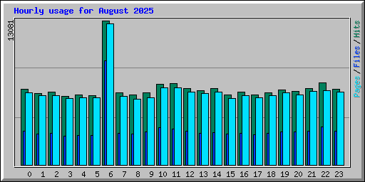 Hourly usage for August 2025