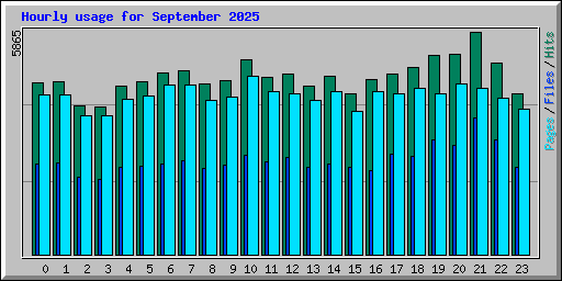 Hourly usage for September 2025