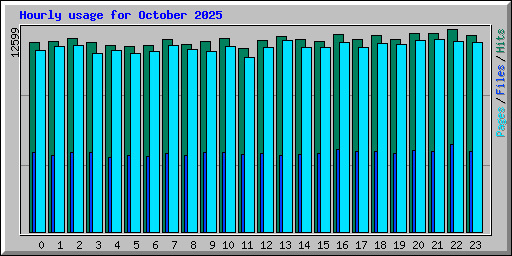 Hourly usage for October 2025