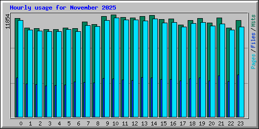 Hourly usage for November 2025