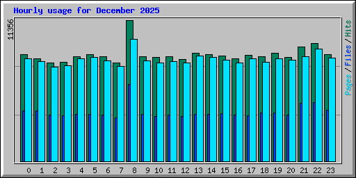 Hourly usage for December 2025