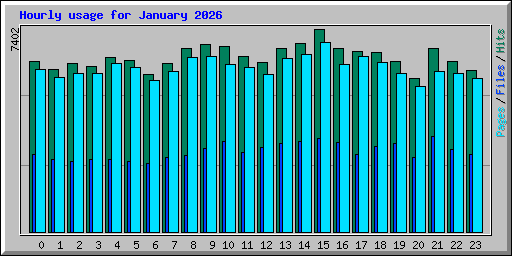 Hourly usage for January 2026