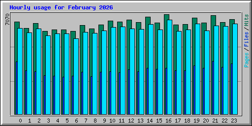 Hourly usage for February 2026