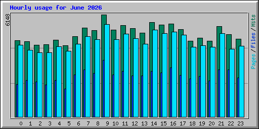 Hourly usage for June 2026